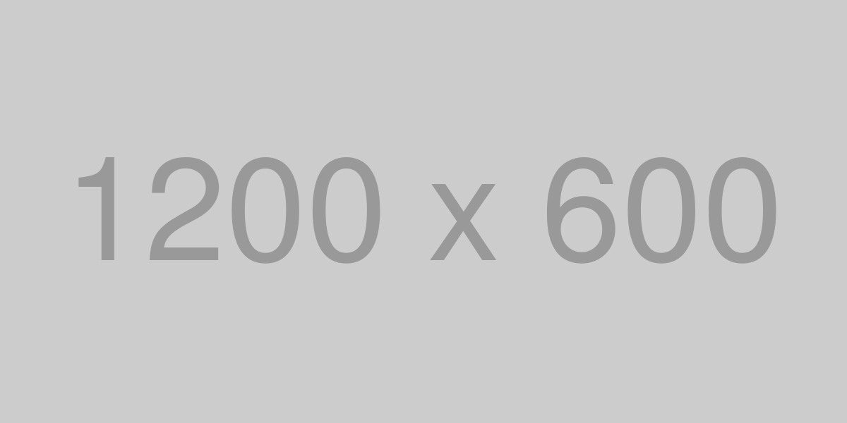 Como usar a planilha balanço patrimonial excel